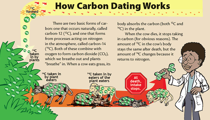 What is carbon dating and how does it work