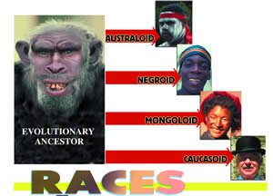 The evolutionary view of races