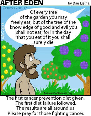 Cancer Prevention Diet