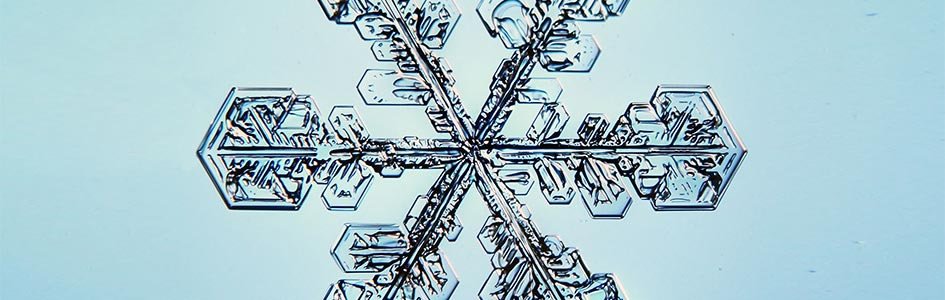 Snowflakes—The Patron's Gift