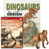 Allosaurus & Dragon Fun Pack